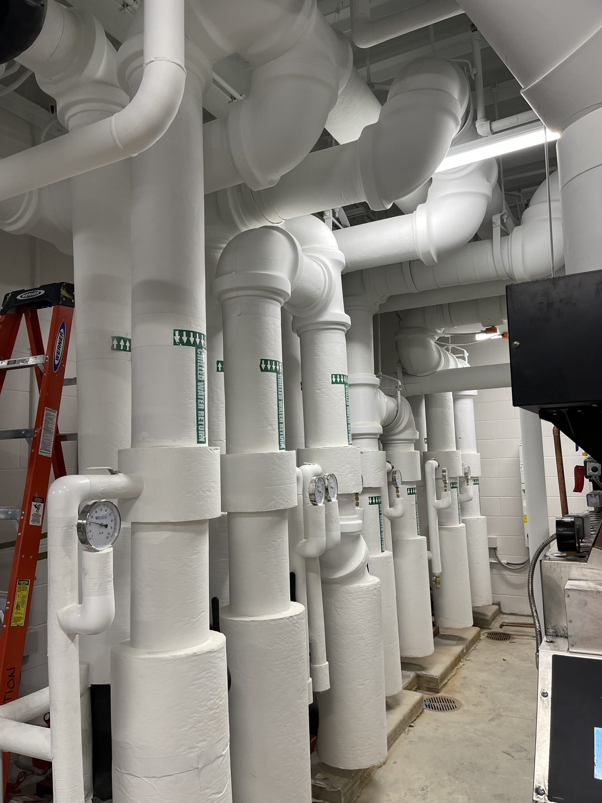 img 0095 scaled 1 1 1 1