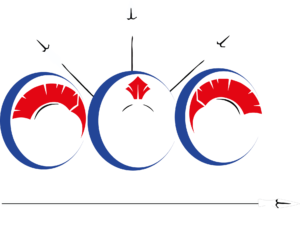 cropped logo ccc copia